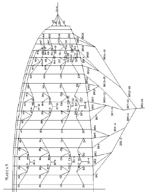 Схема стропления параплана